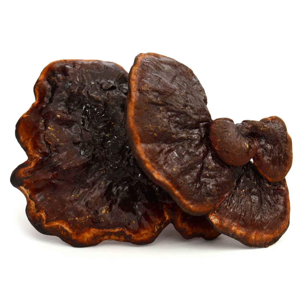 Reishi (Ganoderma or Lingzhi Mushroom)