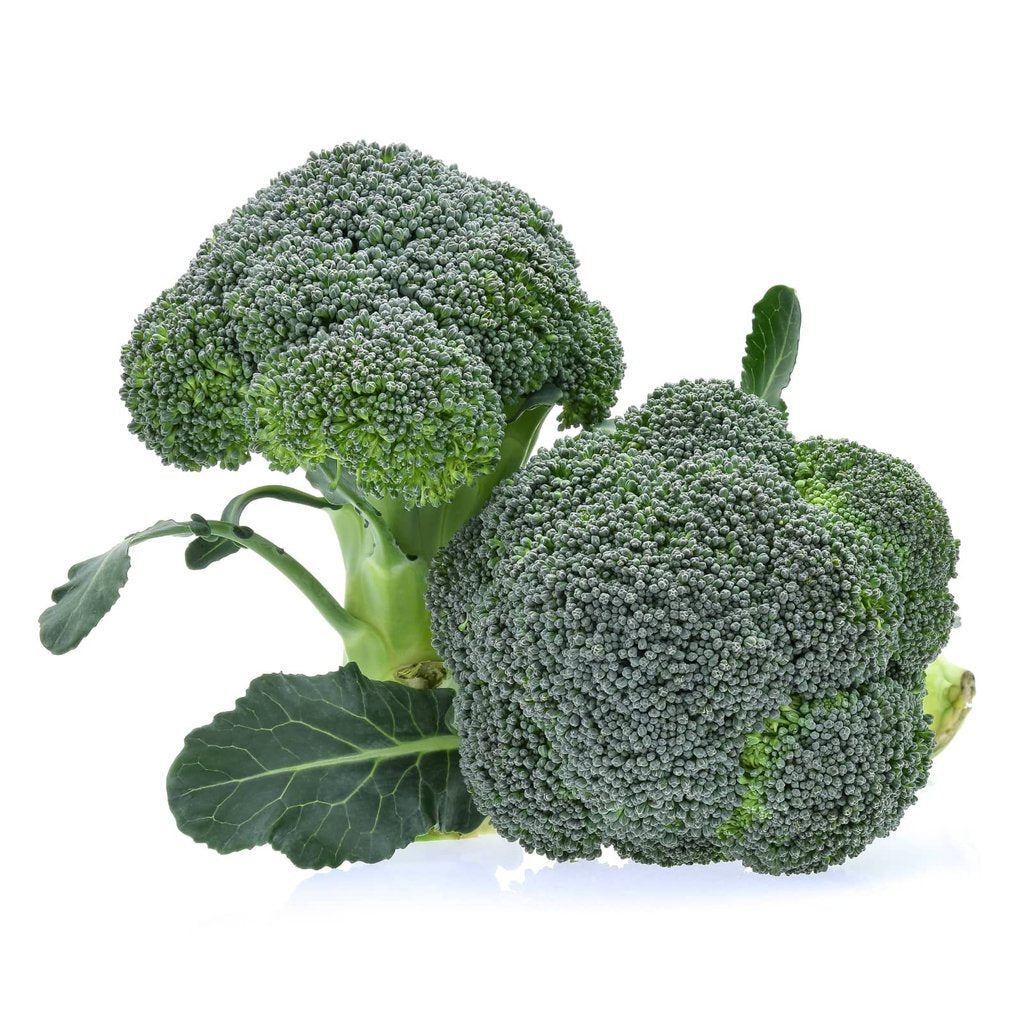 The Amazing Benefits of Broccoli