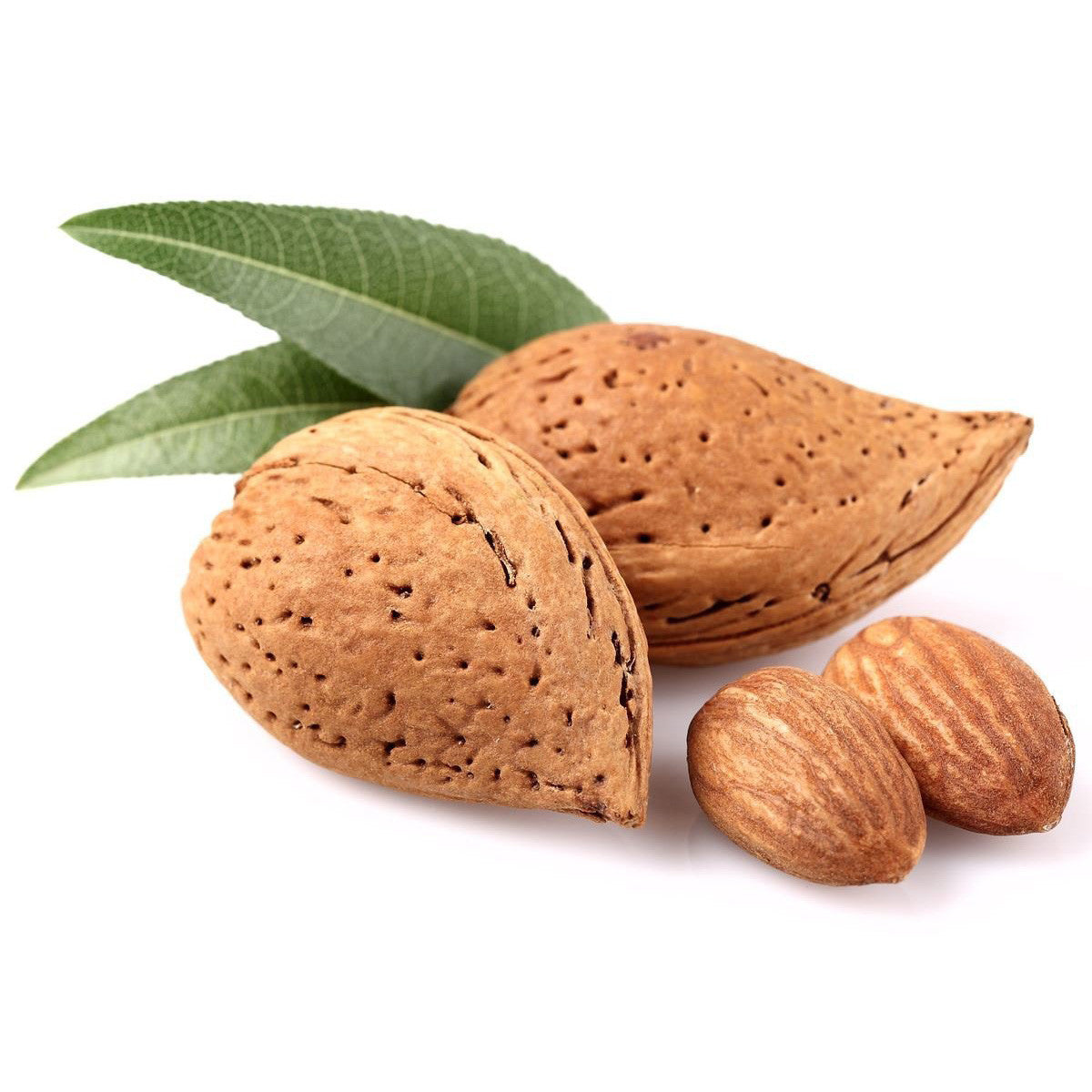 Beta-Sitosterol - Pomoxi, Ingredients - Dietary Supplement, None - NutrientFusion, Pomoxi - Pomoxi