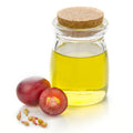 Grape Seed - Pomoxi, Ingredients - Dietary Supplement, None - NutrientFusion, Pomoxi - Pomoxi