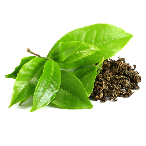 Green Tea - Pomoxi, Ingredients - Dietary Supplement, None - NutrientFusion, Pomoxi - Pomoxi